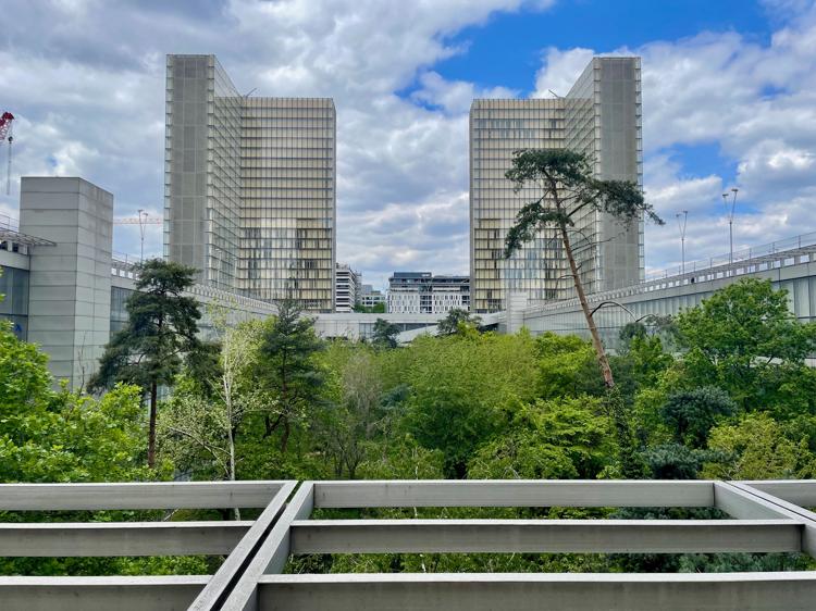 A densely-wooded area full of green trees, and in the background are two towers which are shaped bit like a capital L. The towers are mostly glass and metal, with shorter glass and metal buildings extending from the towers and into the foreground.